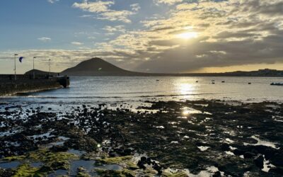 Top 10 Things to do in El Médano