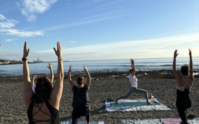 Match the Vibes: Which Yoga class suits you?!