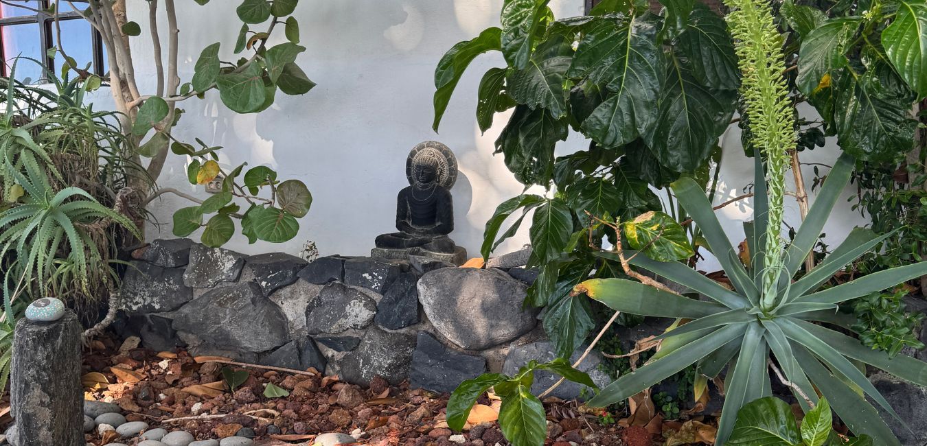 La Gomera Yoga Rtereat